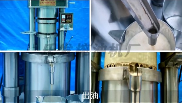 液壓榨油機(jī)-操作過(guò)程視頻-榨油效果