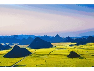 菜籽的收獲季節(jié)到了! 遍地黃花，清香飄田野~