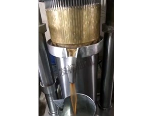 茶籽榨油機(jī)-免費安裝調(diào)試樂發(fā)牌液壓榨油機(jī)