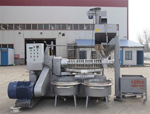 榨油機(jī)的具體工藝是怎樣的呢？